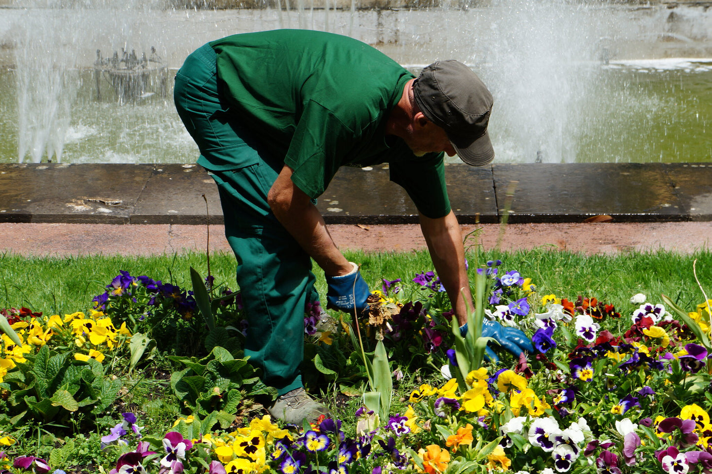 Jardinería